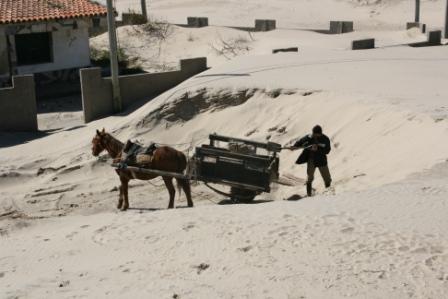 Der Kampf gegen die Wanderdnen